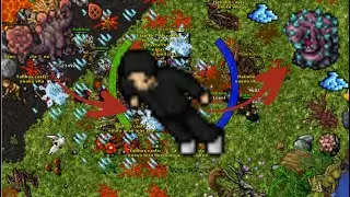 EK 1430+ Gnomprona (G2 / Carrinho 2 / Crystal Enigma) | 16.9KK RAW e 7.4KK de Profit (Guia de Hunt)