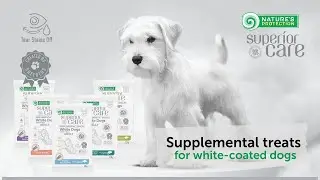 What treats to give for white or light-coated dogs?