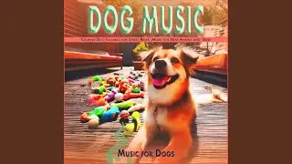 Help My Dog Sleep Tones