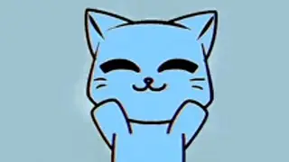 momo the cat has serious trauma