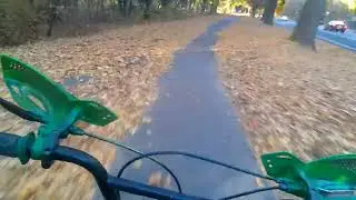 Flashback video 4 2024?! Fat tire bike motorized LD100.  Reed set up. Thinking 🤔 install the avenger