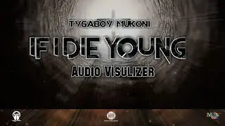 Tygaboy Mukoni - If I die young (Audio Visualizer)