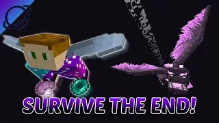 I Tried To Survive THE END DIMENSION!