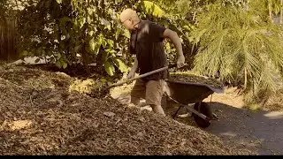 Stop Waiting. Start Mulching. A Gardener&rsquo;s Wake‑Up Call