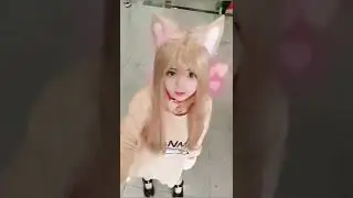 Untitled video