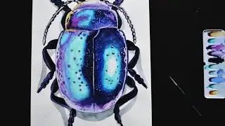 Watercolor Speed Painting ''Chrysolina perforata'' | Beetle Series