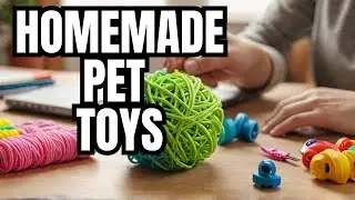 Homemade Pet Toys That Are Actually Genius