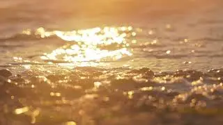 Golden beach close up detail, shallow dof | Free stock footage