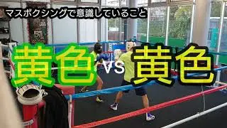 マスボクシングで意識していること【日本王者】