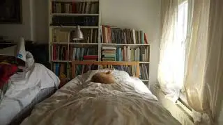 Elmo ligt op het logeerbed.