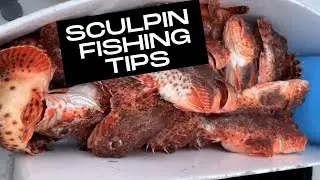 Sculpin Fishing Tackle Tips | Deep Sea Fishing in Southern California | Newport Beach, CA