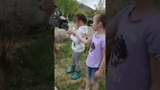 CUTE GIRLS HOLDING/TOUCHING BABY CHICKS FOR THE FIRST TIME #shorts