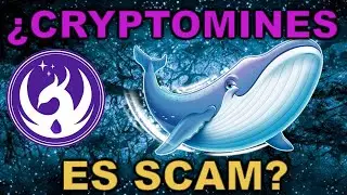 ⚠️ &iquest;CRYPTOMINES ES SCAM? 🐋