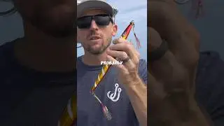 How To Rig Your Jig Pt. 1 (The Most Common) #slowpitchjigging