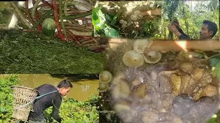 Chicken best cooking recipe/🐠 fish fishing kiya hain khet main 😅😂