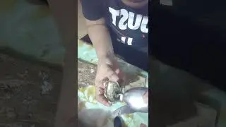 Магия Стораяга