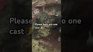 Please one cast #fishing #fish #fypviral #basspumping #bassfishing #bassfeatured #fish