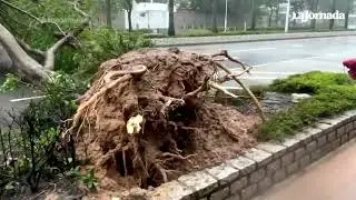Tras dejar 14 muertos en Taiwán, supertifón 'Ragasa' toca tierra en China