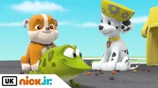 Paw Patrol | Pups Save a Flying Frog | Nick Jr. UK