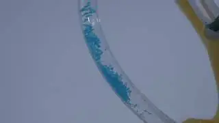 Video of Displaced Otoconia/Crystals Moving in the Semicircular Canals