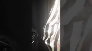 hugz the clown with a very loud amp (haunted house)