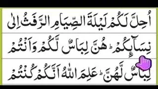 সূরা বাকারা রিডিং পড়ুন  || আয়াত [১৮৬-১৮৭] |surah baqarah verses {186-187)