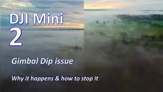 DJI Mini 2 Camera Gimbal Dip Issue - Why it Happens & How to Stop it