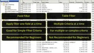 Using Filter in Navision - Dynamics NAV