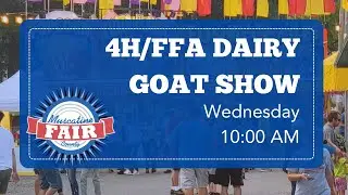 🐷 LIVE: 2025 4H/FFA Swine Show &ndash; Muscatine County Fair 💪🎤