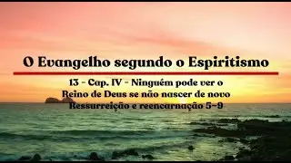 13 - Cap IV - Ninguém pode ver o Reino de Deus se não nascer de novo Ressurreição e reencarnação 5~9