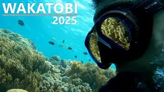 2025 - Wakatobi Indonesia #4k #scubadiving