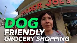Dog-Friendly Grocery Shopping: What to Buy and Avoid
