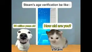 Steam Age verification be like