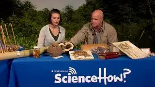 Plant Collections with Rusty Russell