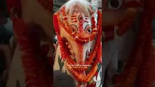 Indrajatra (Pulukishi) - Nepal #indrajatra #pulukishi #nepal #basantapur #kathmandu #shortsfeed