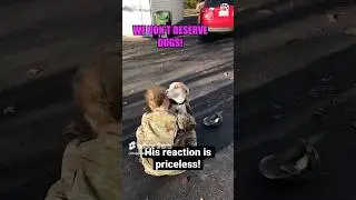 Dog Reunites With Woman Who Served Her Country! #shorts