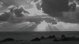 A New Paradise