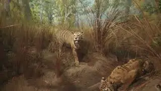 AMNH Hall of Asian Mammals