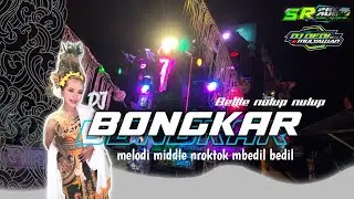 DJ BONGKAR Iwan Fals MIDDLE NROKTOK BAS MBEDIL || Dj Dedy Productions