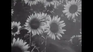 Brigitte Beraha 'Blink' Official Trailer
