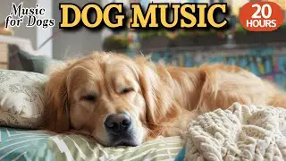 강아지가 좋아하는 음악🐶💖강아지 수면 음악 20시간🐶🎵강아지 힐링과 강아지 휴식음악🎵강아지 안정 음악으로 스트레스 완화🎵외출할때 출근할때 꼭 틀어주세요 by 힐링메이트