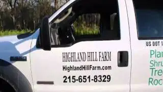 Fastest Growing Arborvitae       Green Giants