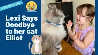 Toddler Says Goodbye to Family Cat - Heartwarming! | Petsies&copy;