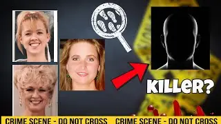 The Springfield Three  | The Disappearance of Cheryl Levitt | Suzie Streeter, and Stacy McCall