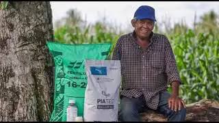 ¿CÓMO EL CAMBIO CLIMÁTICO AFECTA AL SECTOR AGRÍCOLA?