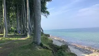 BEACH FOREST || BEAUTIFUL NATURE