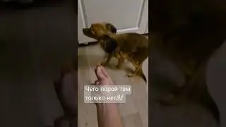 Наводим шмон в домике Урсулы)