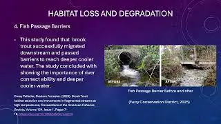 APUS EVSP498(Group 5)- Habitat Loss, Fragmentation, and Connectivity