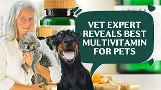 Top 1 Glandular Supplement For Cats & Dogs (Vet Formulated!!) The Holistic Total Body Support