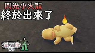 【POKEMON Z-A】終於出來了！閃光小火龍～ 20區大法最終版本 教學 分享刷法  PokemonZA 寵物小精靈Z-A ZA 寶可夢Z-A ZA